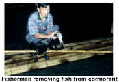 China Guilin cormorant fisherman.jpg (24552 bytes)