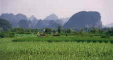 China Yangshuo farm scene.jpg (22377 bytes)