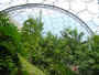 England Eden Project inside tropical biosphere.jpg (28297 bytes)