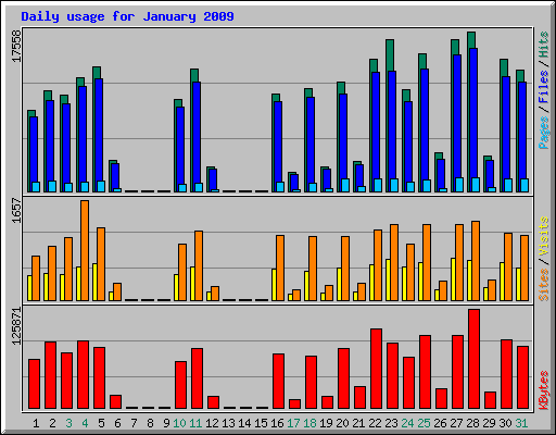 Daily usage for January 2009