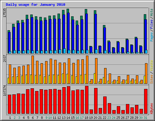 Daily usage for January 2010