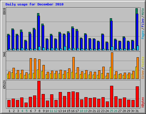 Daily usage for December 2010