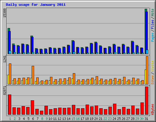 Daily usage for January 2011