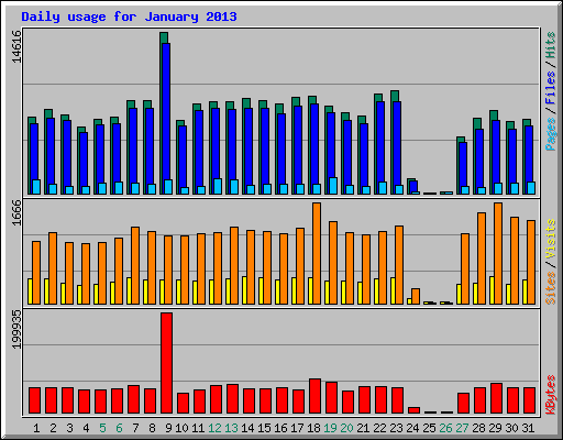 Daily usage for January 2013