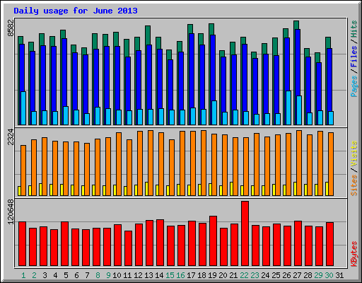 Daily usage for June 2013