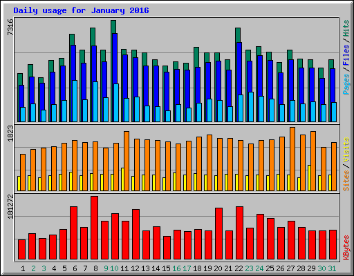 Daily usage for January 2016