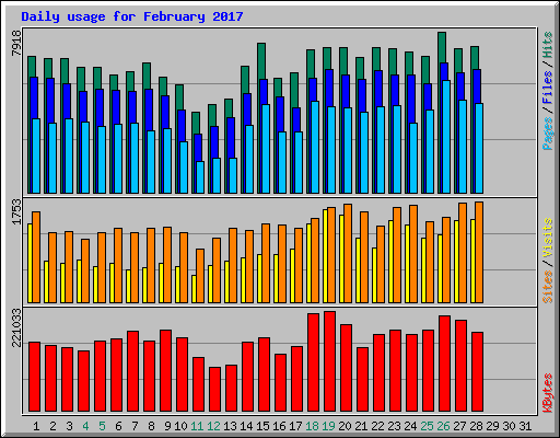 Daily usage for February 2017