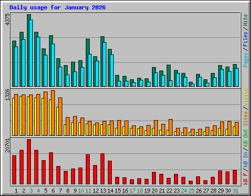 Daily usage for January 2026