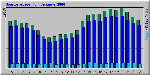 Hourly usage for January 2008