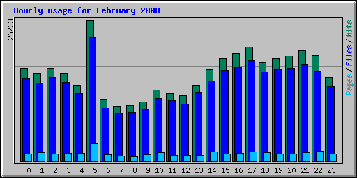 Hourly usage for February 2008