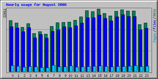 Hourly usage for August 2008