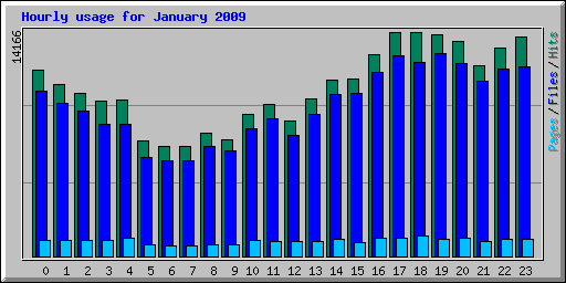 Hourly usage for January 2009