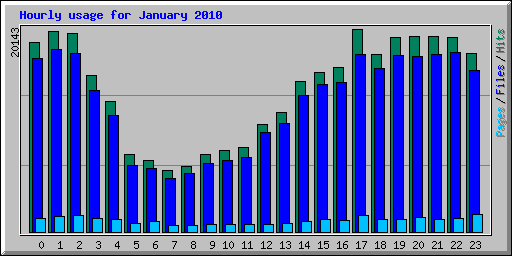 Hourly usage for January 2010