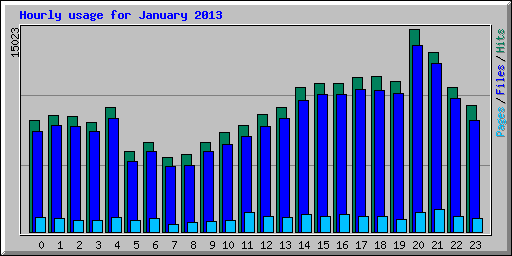 Hourly usage for January 2013