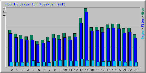 Hourly usage for November 2013