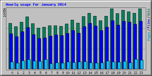 Hourly usage for January 2014