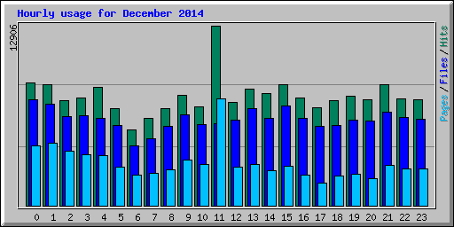 Hourly usage for December 2014