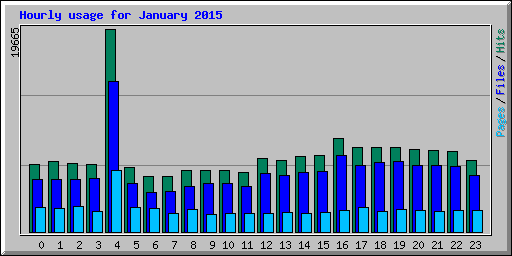 Hourly usage for January 2015