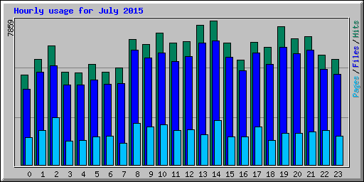 Hourly usage for July 2015