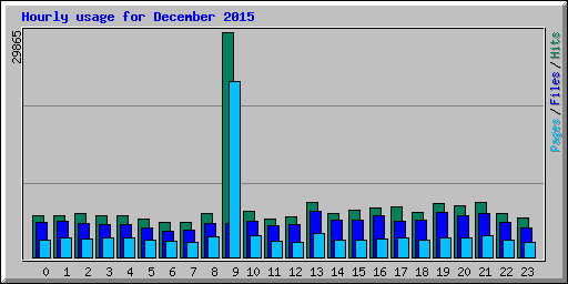 Hourly usage for December 2015