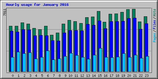 Hourly usage for January 2016