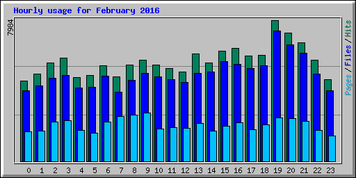 Hourly usage for February 2016