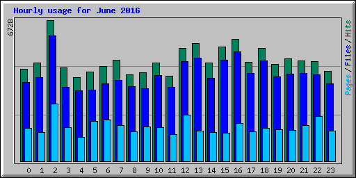 Hourly usage for June 2016