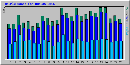 Hourly usage for August 2016