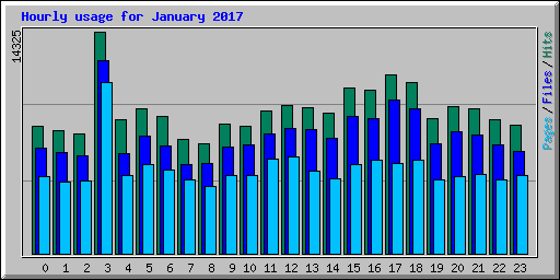 Hourly usage for January 2017