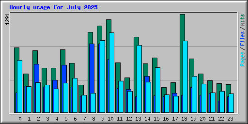 Hourly usage for July 2025