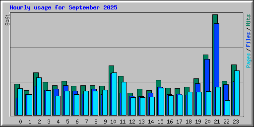 Hourly usage for September 2025