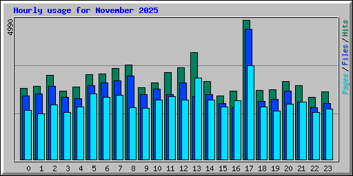 Hourly usage for November 2025
