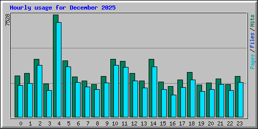 Hourly usage for December 2025