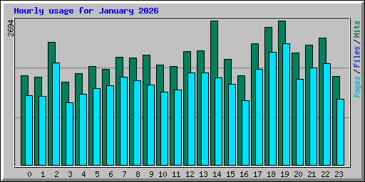 Hourly usage for January 2026