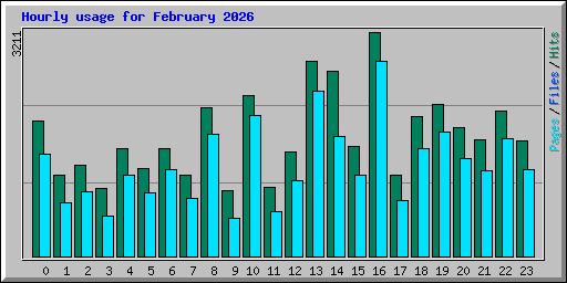 Hourly usage for February 2026