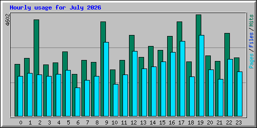 Hourly usage for July 2026