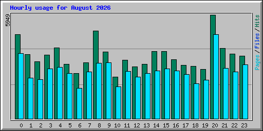 Hourly usage for August 2026